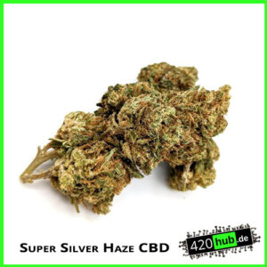 Super Silver Haze CBD Blüte